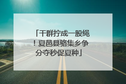 干群拧成一股绳！夏邑县骆集乡争分夺秒促夏种