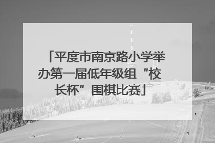 平度市南京路小学举办第一届低年级组“校长杯”围棋比赛