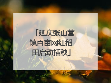 延庆张山营镇百亩网红稻田启动插秧