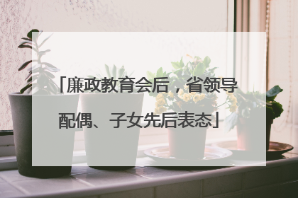 廉政教育会后，省领导配偶、子女先后表态