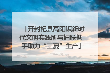 开封杞县高阳镇新时代文明实践所与妇联携手助力“三夏”生产