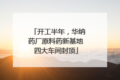开工半年，华纳药厂原料药新基地四大车间封顶