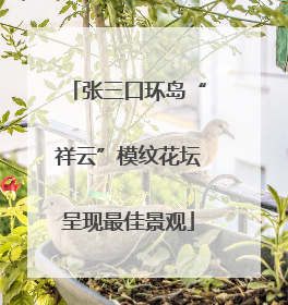 张三口环岛“祥云”模纹花坛呈现最佳景观