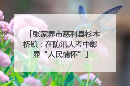 张家界市慈利县杉木桥镇：在防汛大考中彰显“人民情怀”