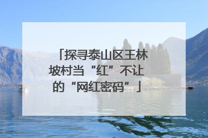 探寻泰山区王林坡村当“红”不让的“网红密码”