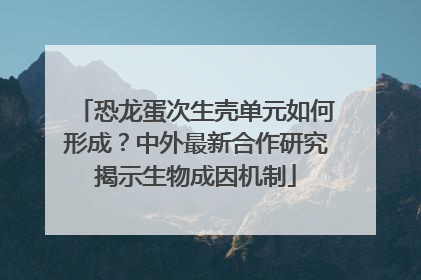 恐龙蛋次生壳单元如何形成？中外最新合作研究揭示生物成因机制