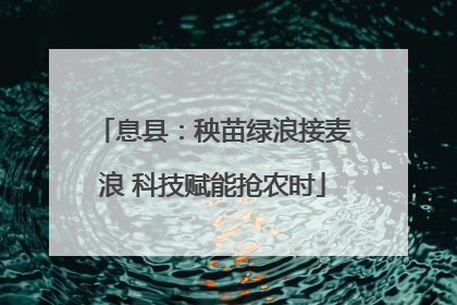 息县：秧苗绿浪接麦浪 科技赋能抢农时