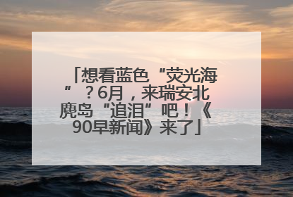 想看蓝色“荧光海”？6月，来瑞安北麂岛“追泪”吧！《90早新闻》来了