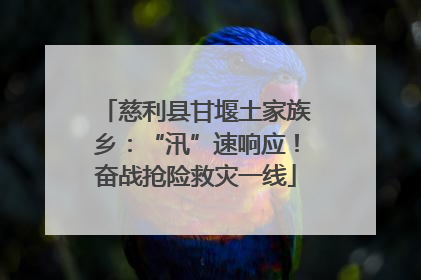 慈利县甘堰土家族乡：“汛”速响应！奋战抢险救灾一线