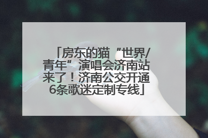 房东的猫“世界/青年”演唱会济南站来了！济南公交开通6条歌迷定制专线