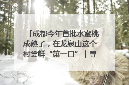 成都今年首批水蜜桃成熟了，在龙泉山这个村尝鲜“第一口”｜寻找和美乡村推荐官
