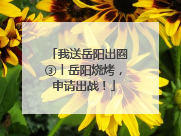 我送岳阳出圈③丨岳阳烧烤，申请出战！