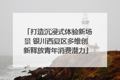 打造沉浸式体验新场景 银川西夏区多维创新释放青年消费潜力