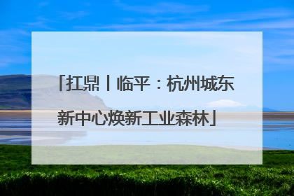扛鼎丨临平：杭州城东新中心焕新工业森林