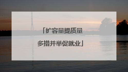 扩容量提质量 多措并举促就业