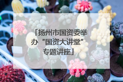 扬州市国资委举办“国资大讲堂” 专题讲座
