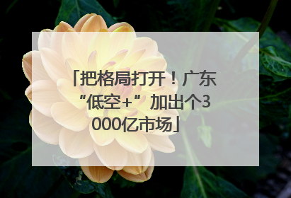 把格局打开！广东“低空+”加出个3000亿市场