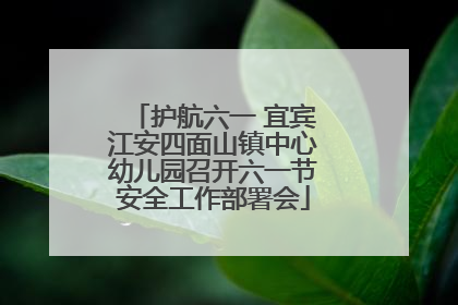 护航六一 宜宾江安四面山镇中心幼儿园召开六一节安全工作部署会