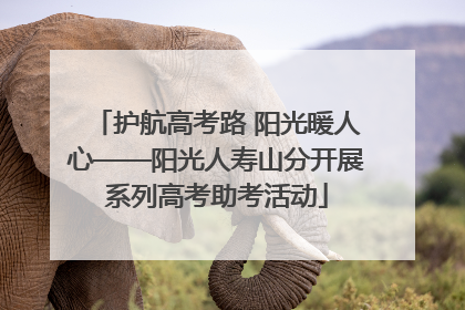 护航高考路 阳光暖人心——阳光人寿山分开展系列高考助考活动