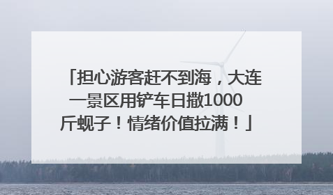 担心游客赶不到海，大连一景区用铲车日撒1000斤蚬子！情绪价值拉满！