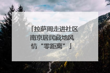拉萨周走进社区 南京居民藏地风情“零距离”