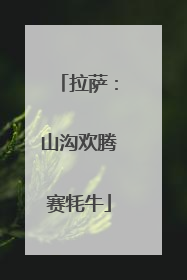 拉萨：山沟欢腾赛牦牛