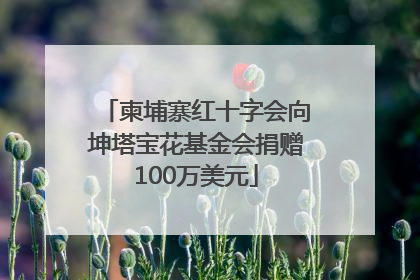 柬埔寨红十字会向坤塔宝花基金会捐赠100万美元