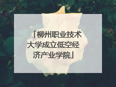 柳州职业技术大学成立低空经济产业学院