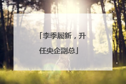 李季履新，升任央企副总
