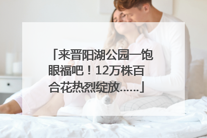 来晋阳湖公园一饱眼福吧！12万株百合花热烈绽放……