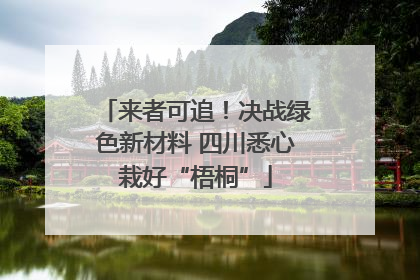 来者可追！决战绿色新材料 四川悉心栽好“梧桐”