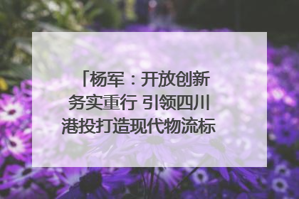 杨军：开放创新 务实重行 引领四川港投打造现代物流标杆｜致敬2024四川经济影响力人物