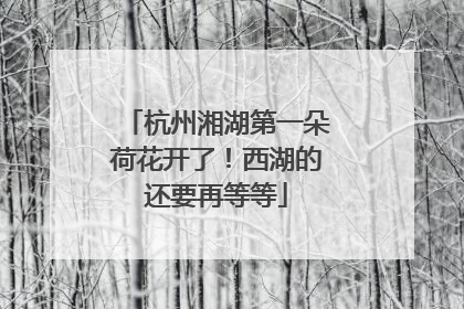 杭州湘湖第一朵荷花开了！西湖的还要再等等