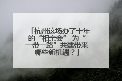 杭州这场办了十年的“相亲会” 为“一带一路”共建带来哪些新机遇？