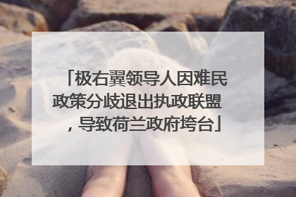 极右翼领导人因难民政策分歧退出执政联盟，导致荷兰政府垮台