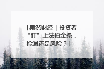 果然财经｜投资者“盯”上法拍金条，捡漏还是风险？