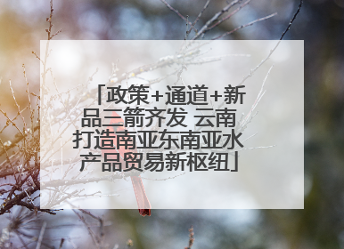 政策+通道+新品三箭齐发 云南打造南亚东南亚水产品贸易新枢纽