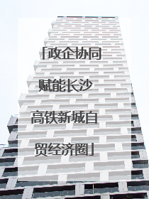 政企协同 赋能长沙高铁新城自贸经济圈
