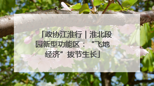 政协江淮行｜淮北段园新型功能区：“飞地经济”拔节生长