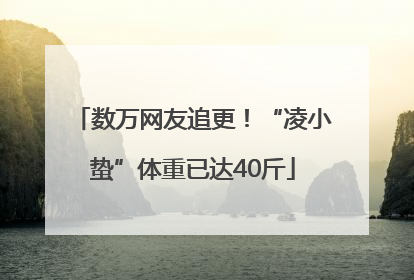 数万网友追更！“凌小蛰”体重已达40斤