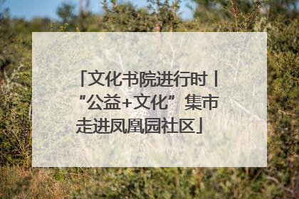 文化书院进行时丨“公益+文化”集市走进凤凰园社区