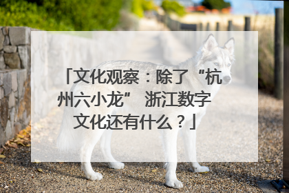 文化观察：除了“杭州六小龙” 浙江数字文化还有什么？