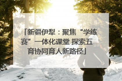 新疆伊犁：聚焦“学练赛”一体化课堂 探索五育协同育人新路径