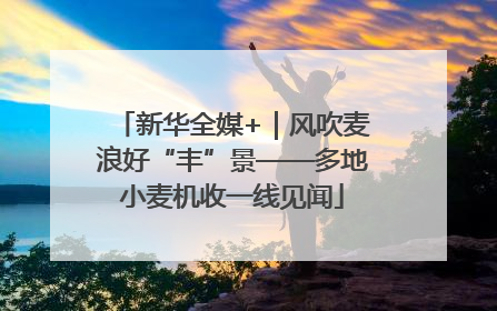 新华全媒+｜风吹麦浪好“丰”景——多地小麦机收一线见闻