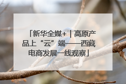 新华全媒+｜高原产品上“云”端——西藏电商发展一线观察