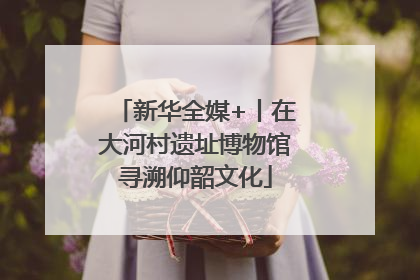 新华全媒+丨在大河村遗址博物馆寻溯仰韶文化