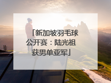 新加坡羽毛球公开赛：陆光祖获男单亚军