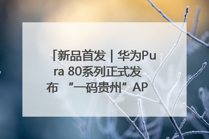 新品首发｜华为Pura 80系列正式发布 “一码贵州”APP抢先开售！