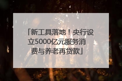新工具落地！央行设立5000亿元服务消费与养老再贷款