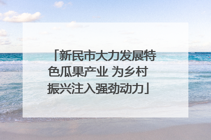 新民市大力发展特色瓜果产业 为乡村振兴注入强劲动力